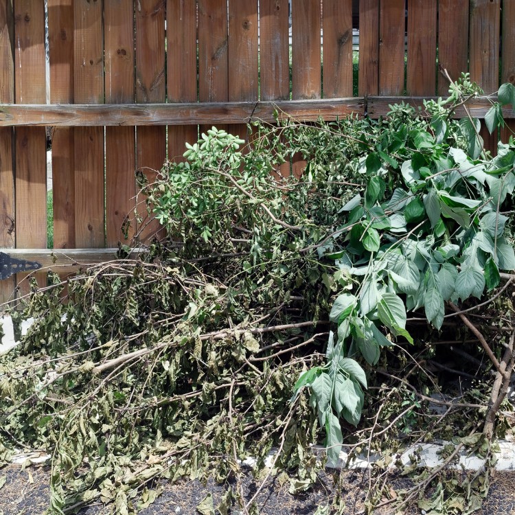 Junk Removal Services in Dallas, TX Junk Removal Services in Dallas, TX